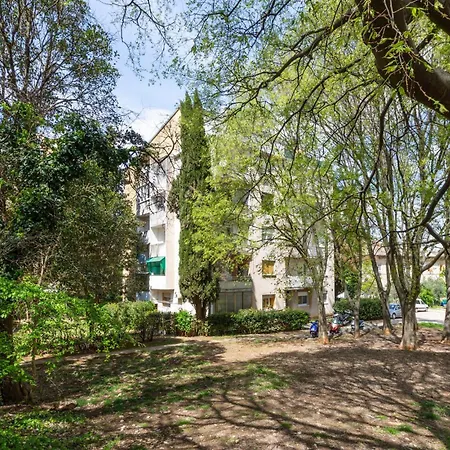 Stunning In With Wifi Apartament