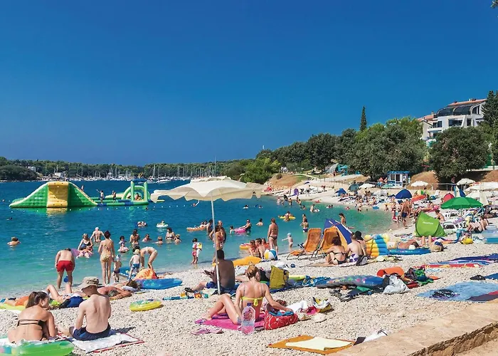 Apartment Stunning In With Wifi